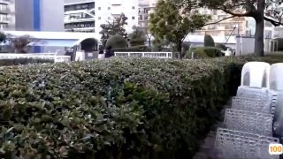 www.rv28.com最新毛片courageklE最新毛片p